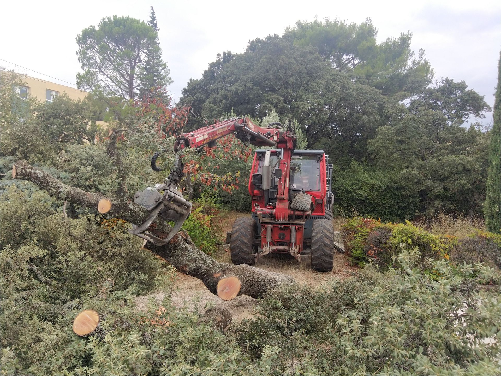 Abattage difficile Nîmes