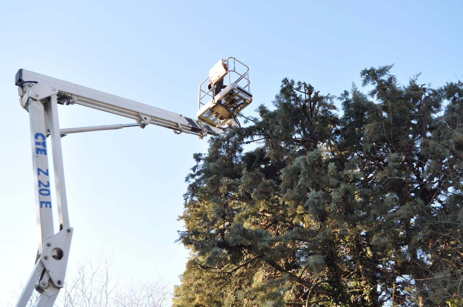 Débroussaillage forestier Nîmes