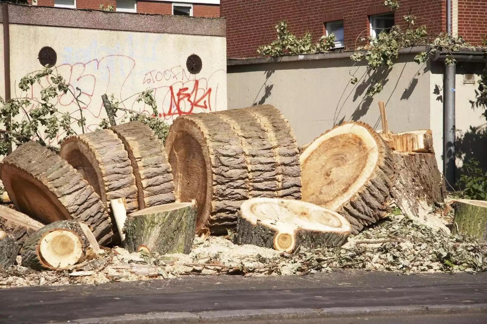 Déssouchage rabotage Nîmes